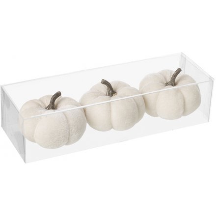 Set of 3 Winter White Velvet Decorative Pumpkins